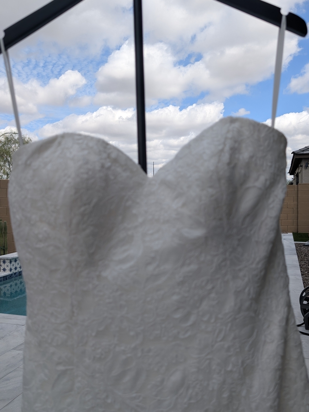 Carrafina Bridal Dress Strapless Lace Mermaid Style Size 10